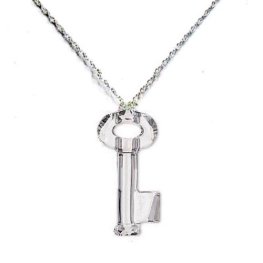 NH8005SWSS - Kľúčik - strieborný náhrdelník so Swarovski krištálom